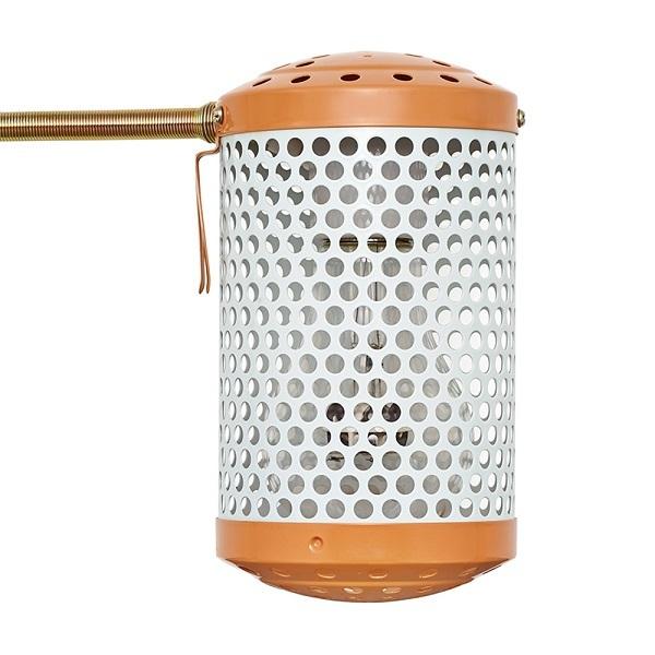 マルカン ペットの保温 保温電球60W カバー付 HD-60C : アクアペット