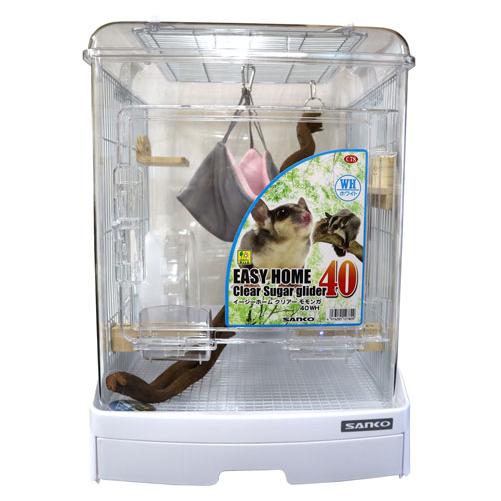 フクロモモンガ飼育 イージーホーム クリアーモモンガ40WH 飼育7 フクロモモンガ飼育 イージーホーム クリアーモモンガ40WH 飼育7