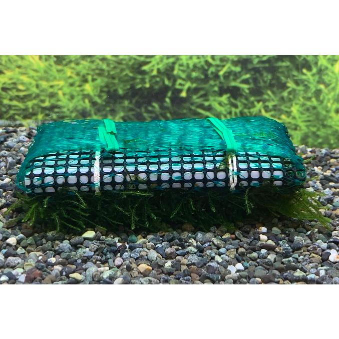 水草 国産 ウィローモスマット 1個 生体 Sc 102 N Mosumat アクアペットサービス ヤフー店 通販 Yahoo ショッピング