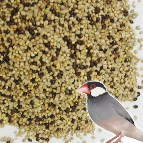 小鳥の餌 国産無農薬シード オリジナルミックス フィンチ専用 1kg 鳥の