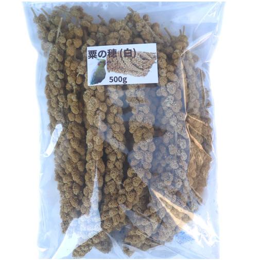 小鳥の餌 オリジナル 粟の穂 (白) 500g (30〜40本入り) インコ餌