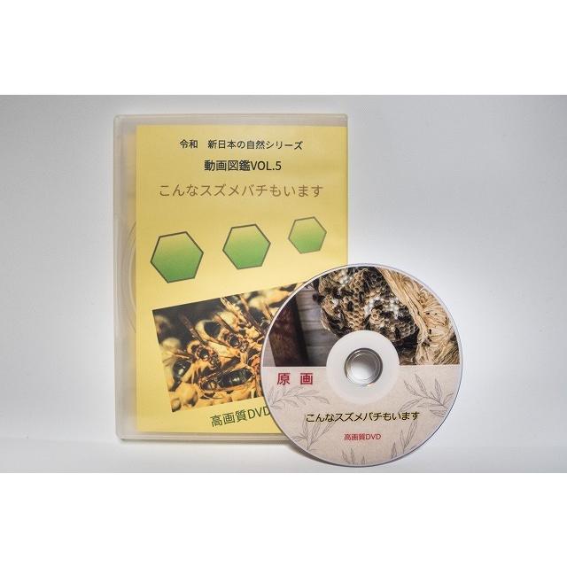 動画図鑑こんなスズメバチもいますDVD版 | 