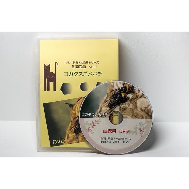 動画図鑑コガタスズメバチ　DVD版 | 