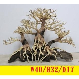 即納特典付き 5 盆栽流木 流木 盆栽 テラリウム 水景盆栽 パルダリウム レイアウト 水槽 アクアリウム オブジェ リウム レイアウト用品 一点もの 値引きする Hansen Amrum De