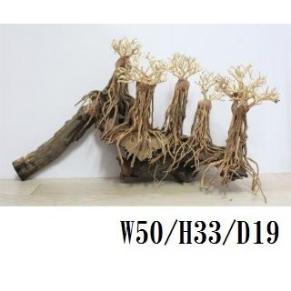 お歳暮 2 盆栽流木 流木 盆栽 テラリウム 水景盆栽 パルダリウム レイアウト 水槽 アクアリウム オブジェ リウム レイアウト用品 一点もの 肌触りがいい Www Muslimaidusa Org