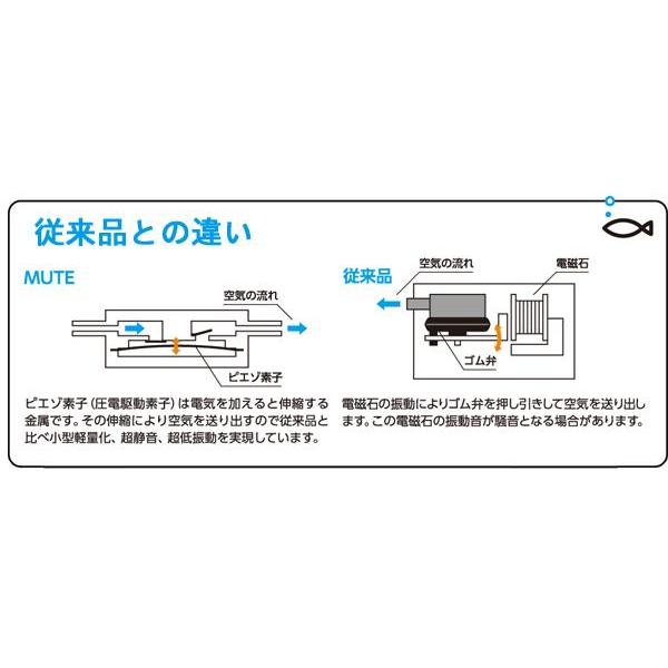 ミュート様、ご購入品 ルートZX mini ＃｜オンラインカタログ internet