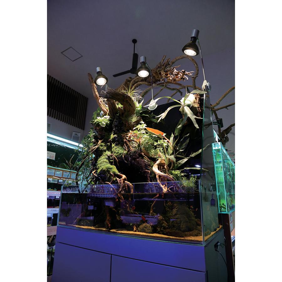 京セラ CERAPHIC いきもの電球 6500K(昼光色) : アクア 京セラ CERAPHIC いきもの電球 6500K(昼光色) : アクア