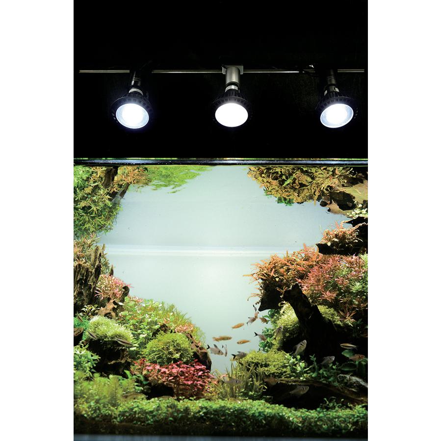 京セラ CERAPHIC いきもの電球 6500K(昼光色) : アクア 京セラ CERAPHIC いきもの電球 6500K(昼光色) : アクア