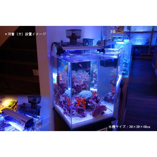 カミハタ プロテインスキマー機能付き外掛け式フィルター 海道河童 大 海水用 アクアテイラーズヤフー店 通販 Yahoo ショッピング