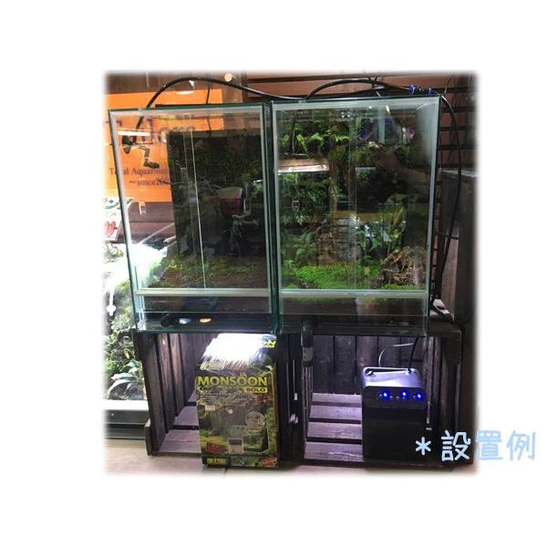 爬虫類　飼育　エキゾテラ　モンスーンソロ モンスーンソロ エキゾテラ GEX ミスティングシステム 販売 通販