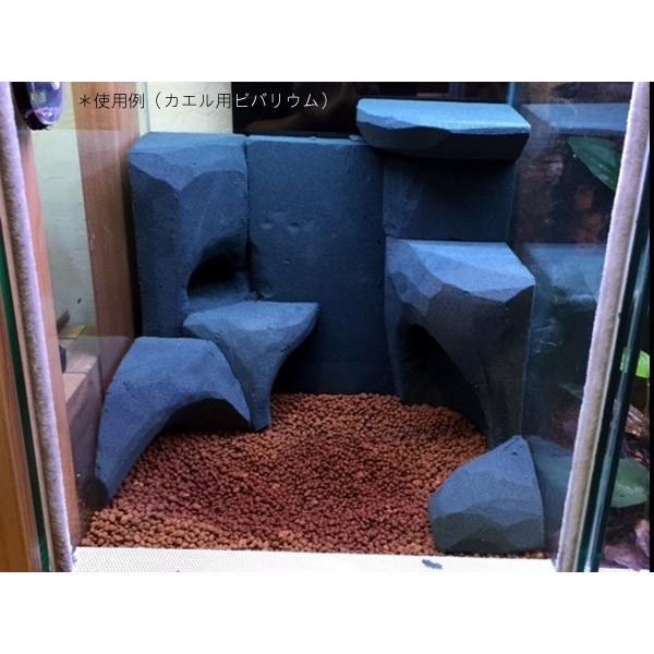 ☆ ピクタ 極床 植えれる君 3cm 297 Amazon | ピクタ 極床 植えれる君 3cm | ピクタ | 飼育ケース内装 通販