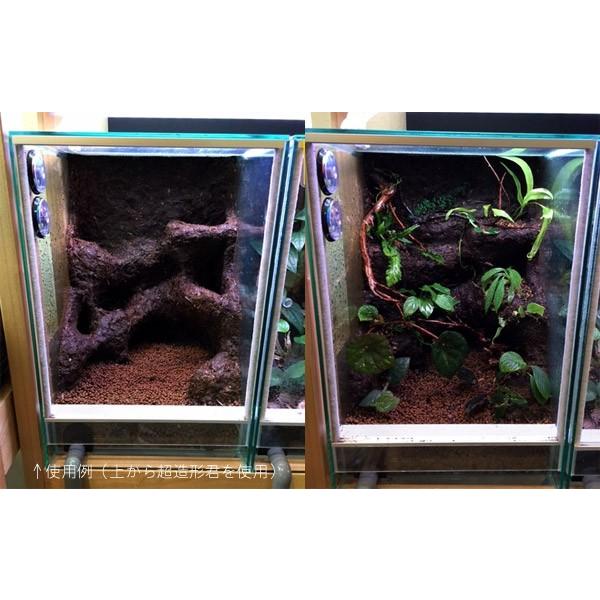 ピクタ&いちなま 極床 (きわみどこ) 植えれる君 3cm : アクア