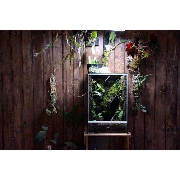 佐川急便発送・送料無料) Rain Forest パルダリウムケージプロ 佐川急便発送・送料無料) Rain Forest パルダリウムケージプロ