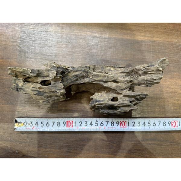 スタッフセレクト流木 Cave wood ケイブウッド No.1 : アクア