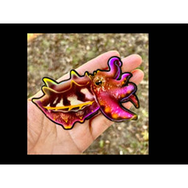 （正規輸入品）Flamboyant Cuttlefish Sticker/Holographic : アクアテイラーズヤフー店 - 通販 ...