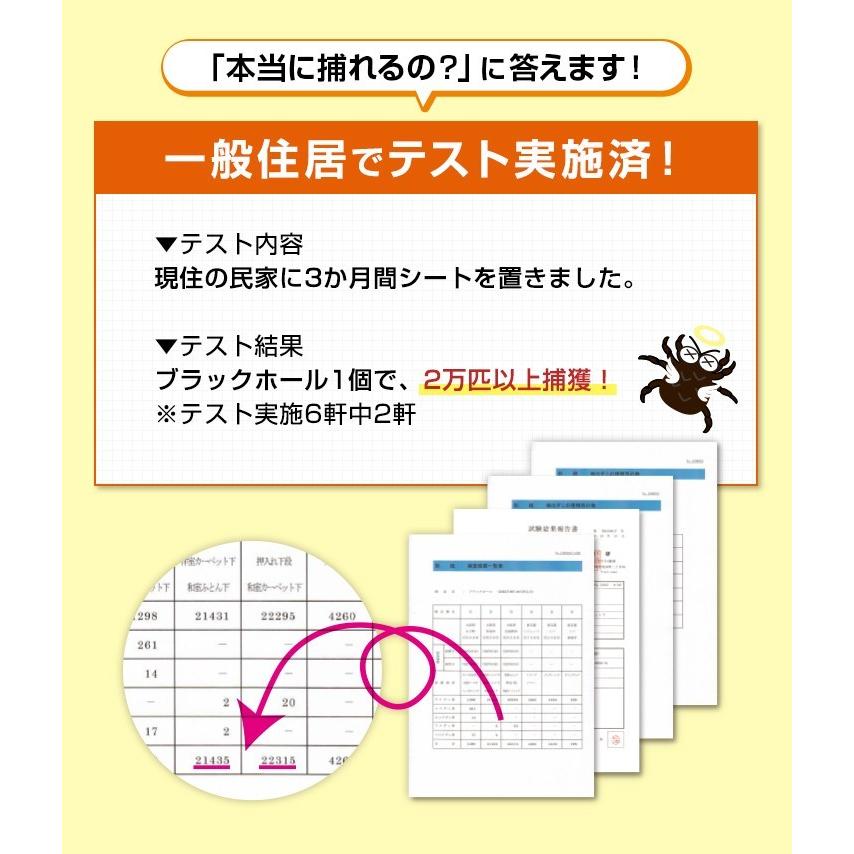 公式 ダニ捕りパック ブラックホール 10個パック ダニ捕りシート ダニとりシート ダニ退治 布団 ダニ 対策 ダニ取り ダニ捕り :bh-m2px5:圧縮袋と防水ケースのアクアトーク - 通販 - Yahoo!ショッピング 公式 ダニ捕りパック ブラックホール 10個パック ダニ捕りシート ダニとりシート ダニ退治 布団 ダニ 対策 ダニ取り ダニ捕り :bh-m2px5:圧縮袋と防水ケースのアクアトーク - 通販 - Yahoo!ショッピング