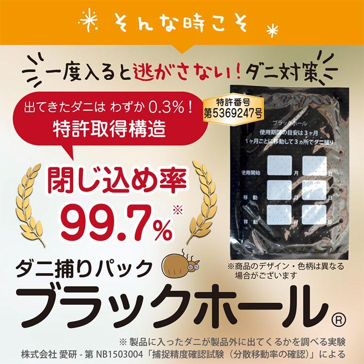 石崎資材 ダニ捕りシート ブラックホール (10個入り) ダニシート ダニ