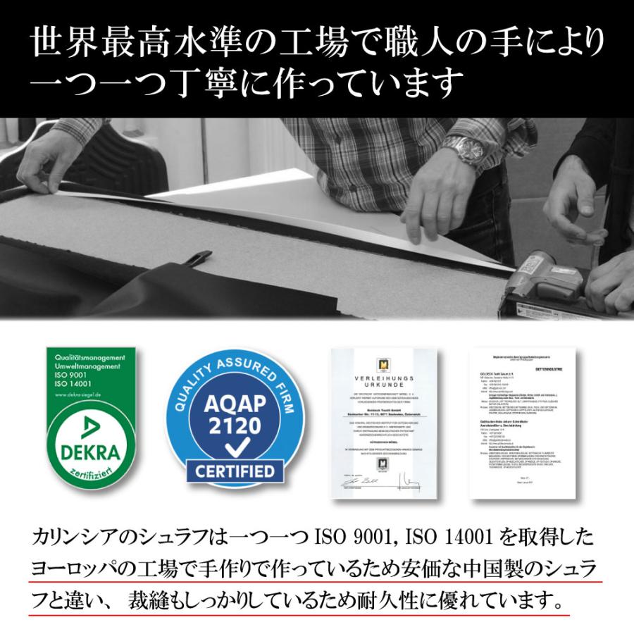 シュラフ Carinthia カリンシア Defence 1 Top マミー型 寝袋