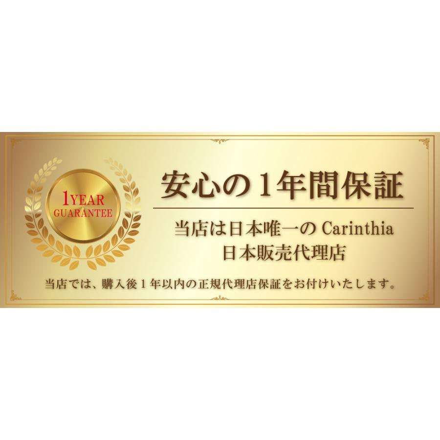 シュラフ Carinthia カリンシア Defence 1 Top マミー型 寝袋 シュラフ Carinthia カリンシア Defence 1 Top マミー型 寝袋