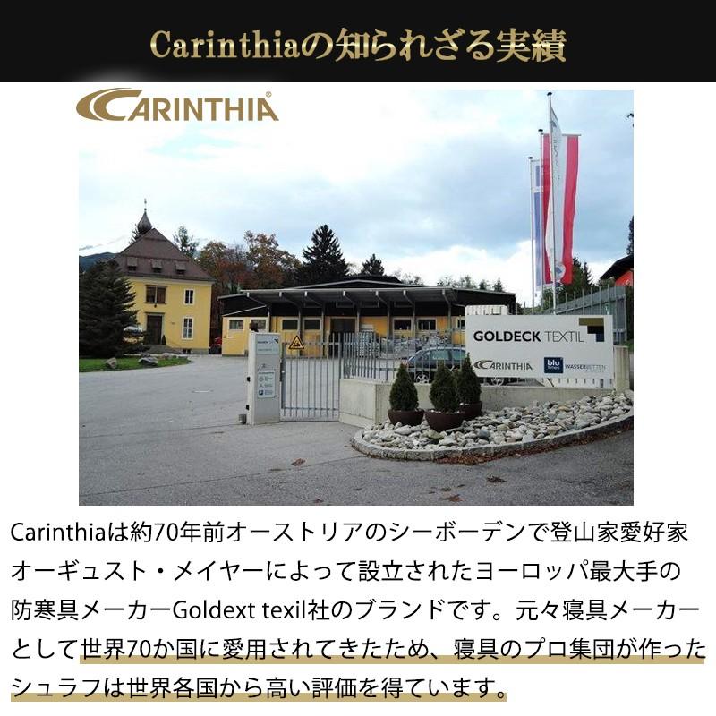 シュラフ 寝袋 冬用 マミー型 カリンシア Carinthia Defence 4 最強｜aquitania｜03