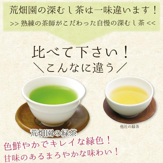 お茶 緑茶 ティーバッグ ティーパック 深蒸し茶 日本茶 静岡茶 徳用 100ヶ入り お得 がぶ飲み深むしティーパック 送料無料 セール｜arahata｜07