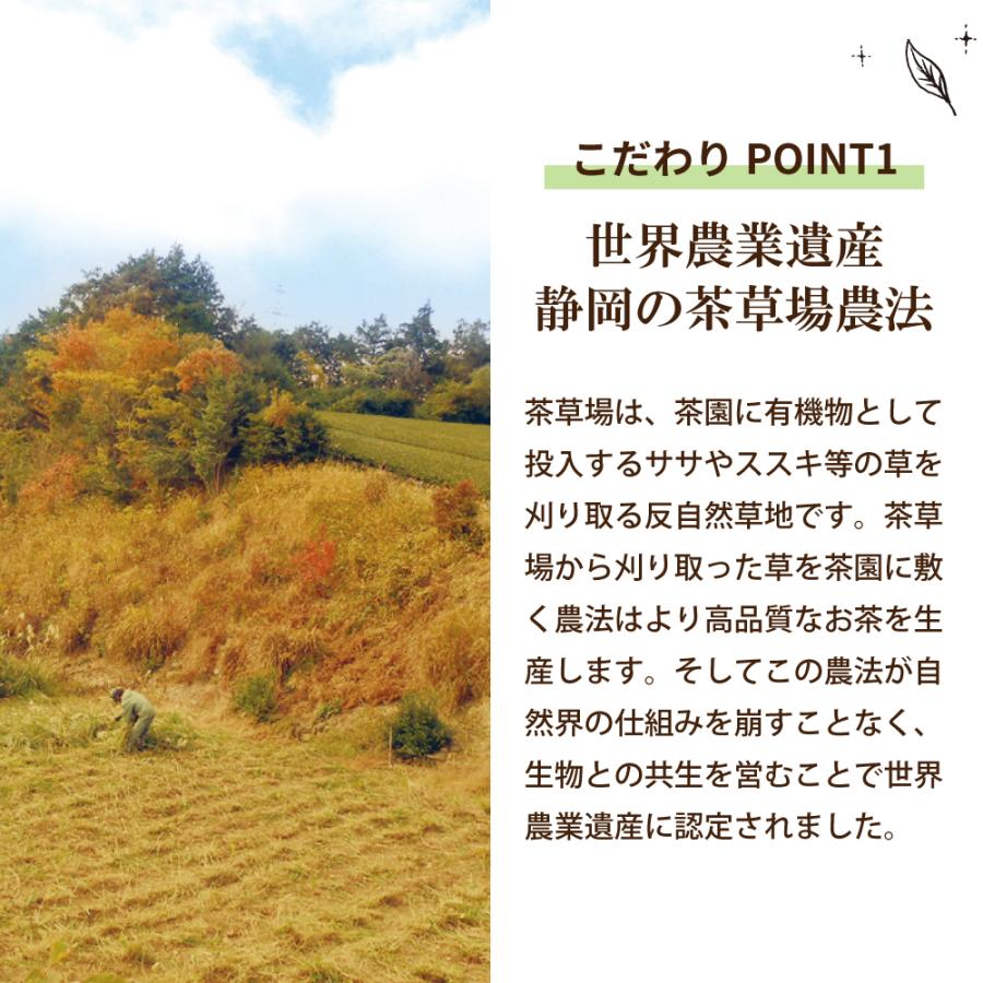 お茶 紅茶 国産 プーアル茶 ティーバッグ ティーパック 静岡茶 国産 日本茶 がぶ飲み静岡紅茶＆国産プーアール茶 ポイント利用 ポイント消化 爆買 | お茶の荒畑園 | 09