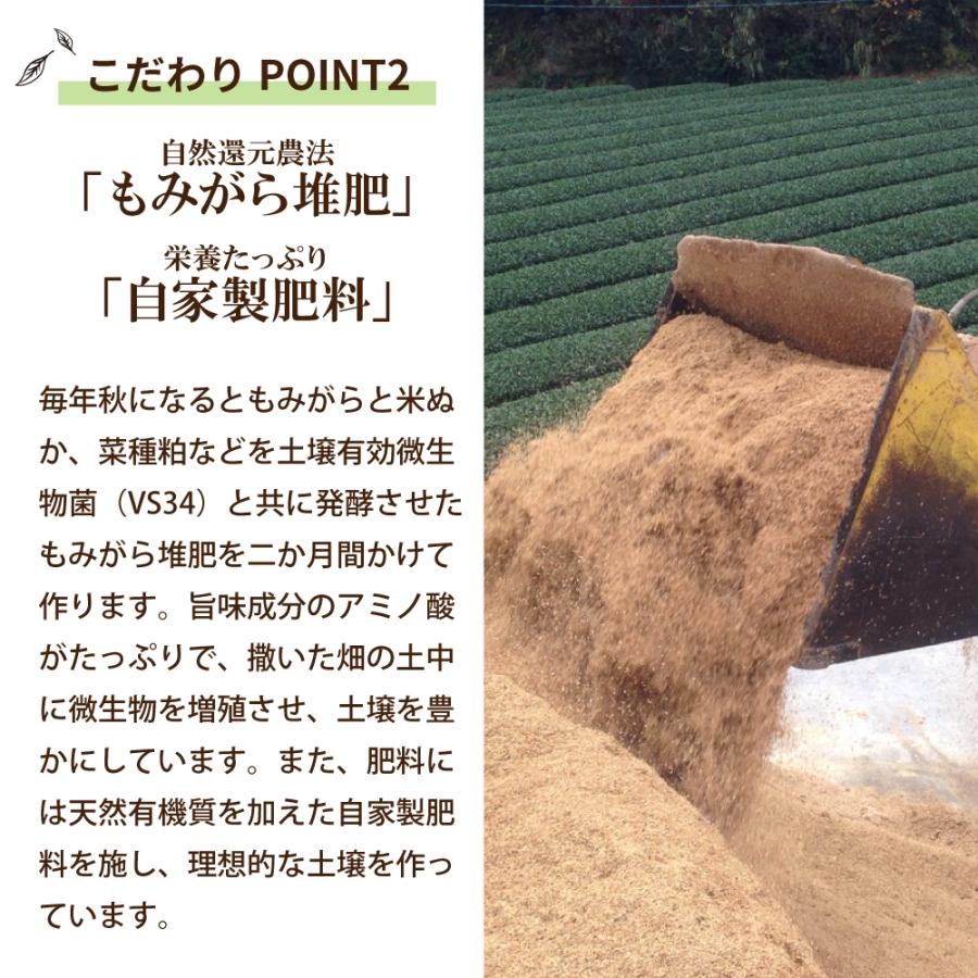 お茶 紅茶 国産 プーアル茶 ティーバッグ ティーパック 静岡茶 国産 日本茶 がぶ飲み静岡紅茶＆国産プーアール茶 ポイント利用 ポイント消化 爆買 | お茶の荒畑園 | 10