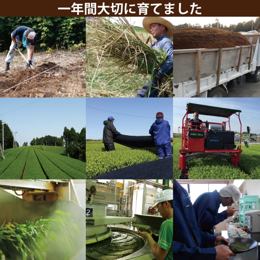 お茶 紅茶 国産 プーアル茶 ティーバッグ ティーパック 静岡茶 国産 日本茶 がぶ飲み静岡紅茶＆国産プーアール茶 ポイント利用 ポイント消化 爆買 | お茶の荒畑園 | 11