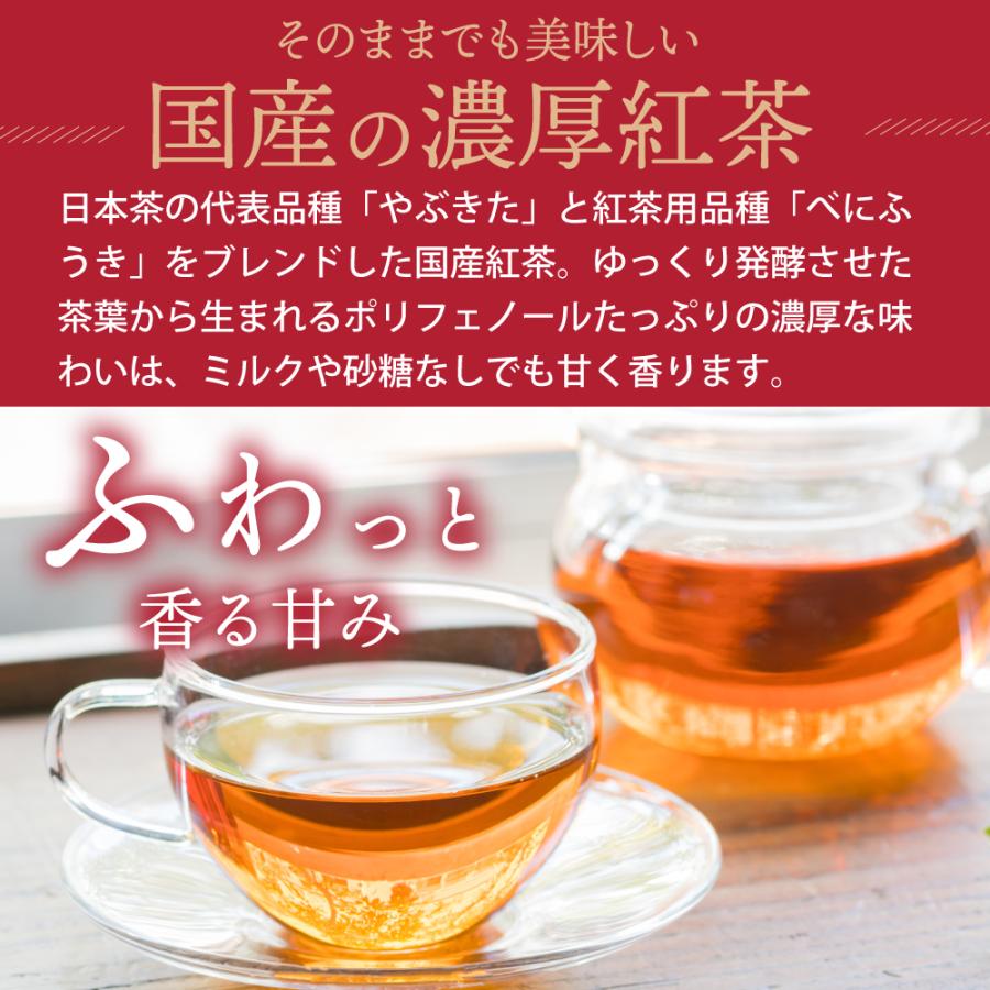 お茶 紅茶 国産 プーアル茶 ティーバッグ ティーパック 静岡茶 国産 日本茶 がぶ飲み静岡紅茶＆国産プーアール茶 ポイント利用 ポイント消化 爆買 | お茶の荒畑園 | 03