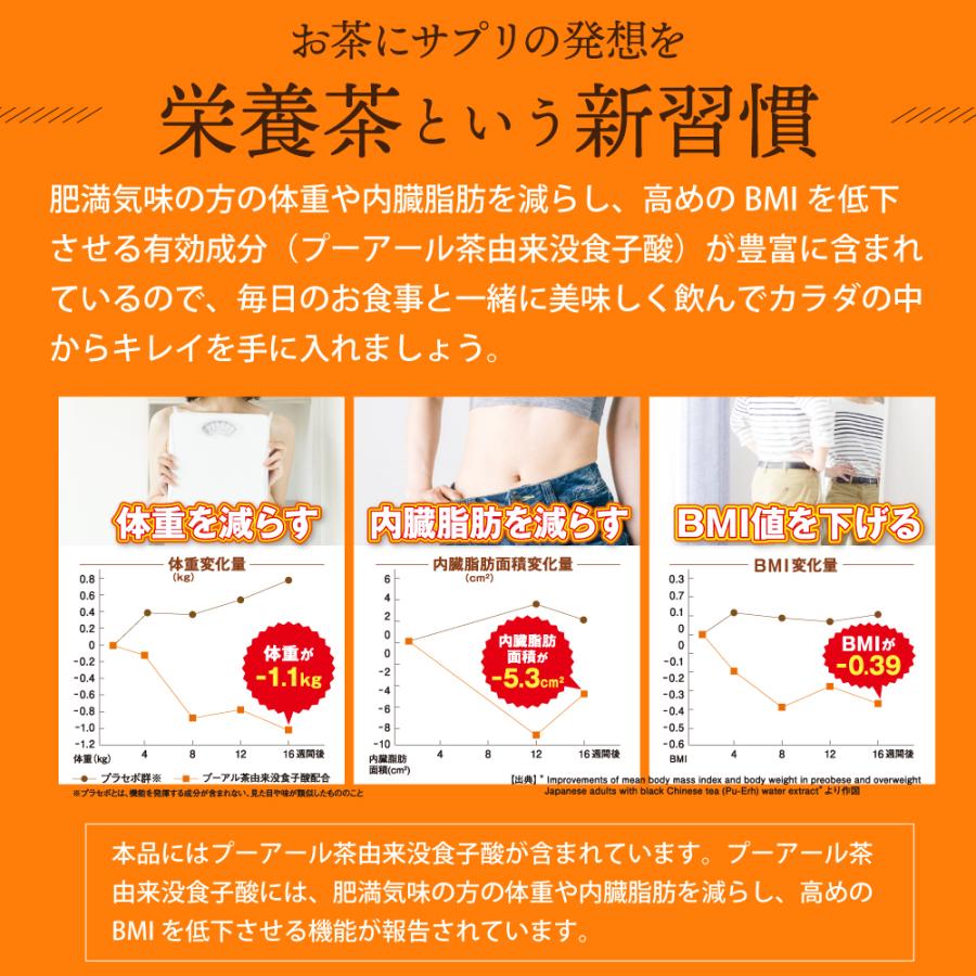 お茶 紅茶 国産 プーアル茶 ティーバッグ ティーパック 静岡茶 国産 日本茶 がぶ飲み静岡紅茶＆国産プーアール茶 ポイント利用 ポイント消化 爆買 | お茶の荒畑園 | 05