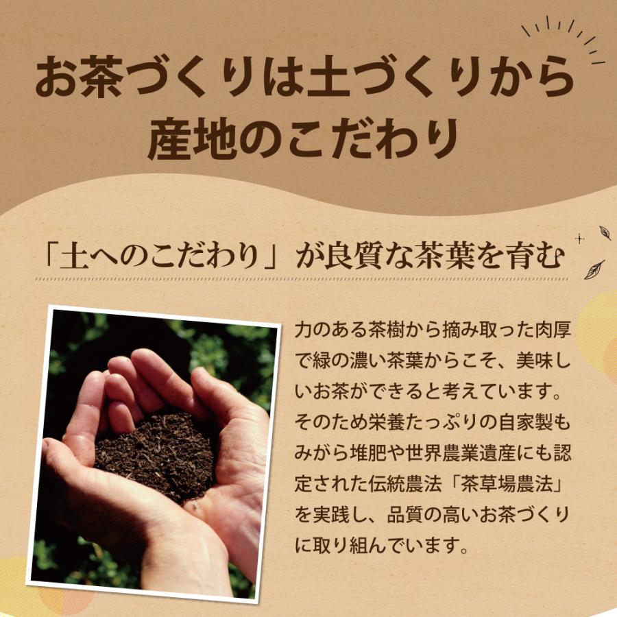 お茶 紅茶 国産 プーアル茶 ティーバッグ ティーパック 静岡茶 国産 日本茶 がぶ飲み静岡紅茶＆国産プーアール茶 ポイント利用 ポイント消化 爆買 | お茶の荒畑園 | 08
