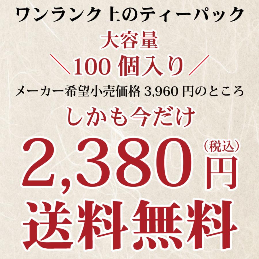 お茶 緑茶 ティーバッグ ティーパック 水出し緑茶 深蒸し茶 日本茶 特選がぶ飲み静岡深むしティーパック ポイント利用 ポイント消化 爆買 ■15359 | お茶の荒畑園 | 19