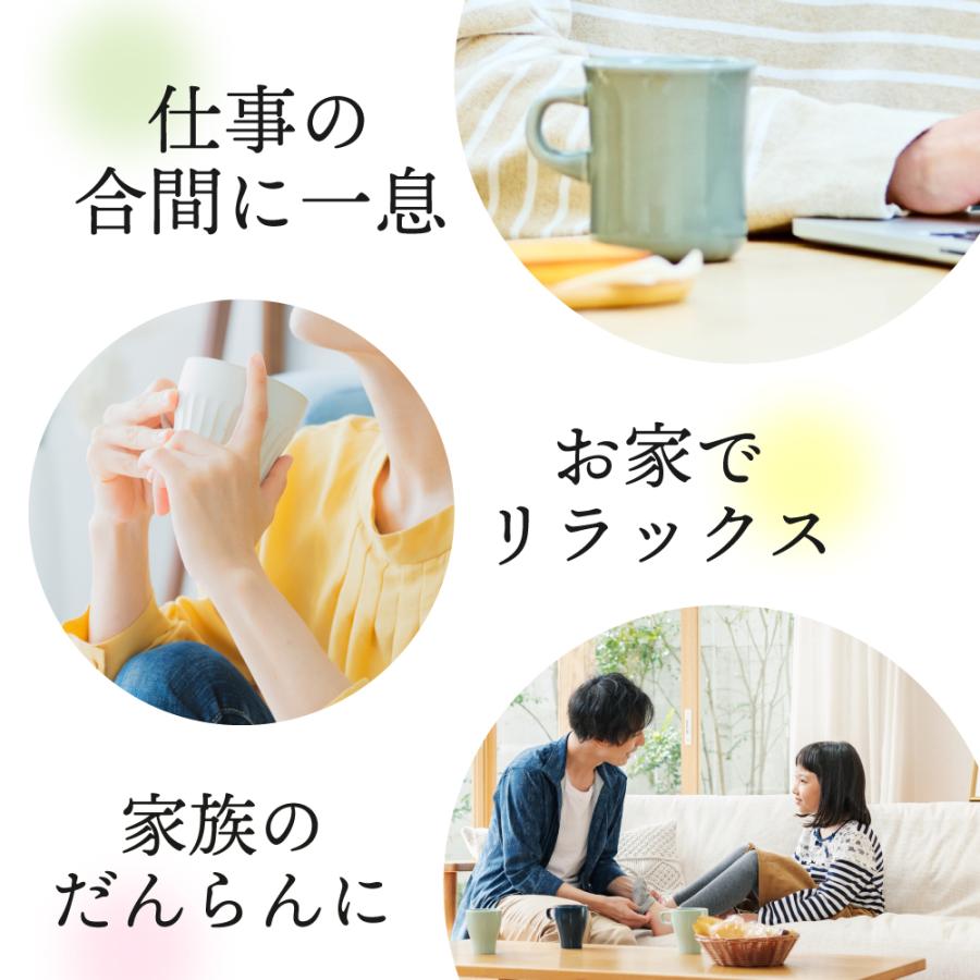 お茶 緑茶 ティーバッグ ティーパック 水出し緑茶 深蒸し茶 日本茶 濃いがぶ飲み静岡深むしティーパック 2袋 ポイント利用 ポイント消化 爆買 | お茶の荒畑園 | 13