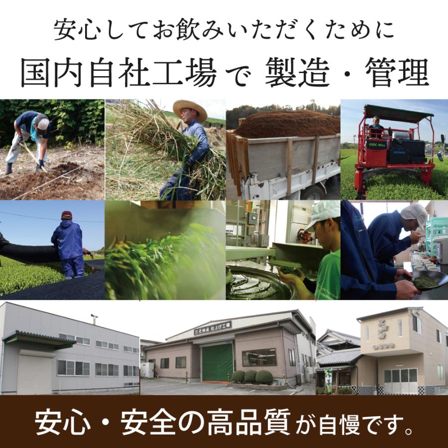 お茶 緑茶 ティーバッグ ティーパック 水出し緑茶 深蒸し茶 日本茶 濃いがぶ飲み静岡深むしティーパック 2袋 ポイント利用 ポイント消化 爆買 | お茶の荒畑園 | 17