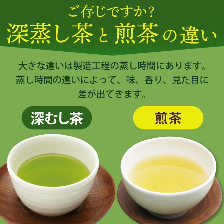 お茶 緑茶 ティーバッグ ティーパック 水出し緑茶 深蒸し茶 日本茶 濃いがぶ飲み静岡深むしティーパック 2袋 ポイント利用 ポイント消化 爆買 | お茶の荒畑園 | 04