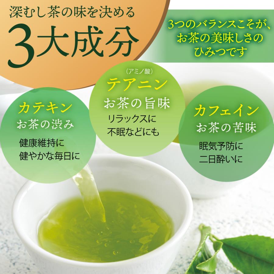 お茶 緑茶 ティーバッグ ティーパック 水出し緑茶 深蒸し茶 日本茶 濃いがぶ飲み静岡深むしティーパック 2袋 ポイント利用 ポイント消化 爆買 | お茶の荒畑園 | 06