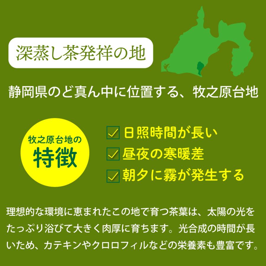 お茶 緑茶 ティーバッグ ティーパック 水出し緑茶 深蒸し茶 日本茶 濃いがぶ飲み静岡深むしティーパック 2袋 ポイント利用 ポイント消化 爆買 | お茶の荒畑園 | 08