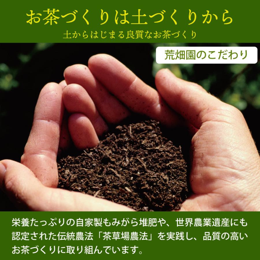 お茶 緑茶 ティーバッグ ティーパック 水出し緑茶 深蒸し茶 日本茶 濃いがぶ飲み静岡深むしティーパック 2袋 ポイント利用 ポイント消化 爆買 | お茶の荒畑園 | 09