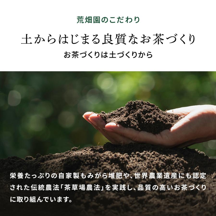 お茶 緑茶 ティーバッグ ティーパック 水出し緑茶 深蒸し茶 日本茶 厳選がぶ飲み深むしティーパック100包 ポイント利用 ポイント消化 爆買 ■30511 | お茶の荒畑園 | 11