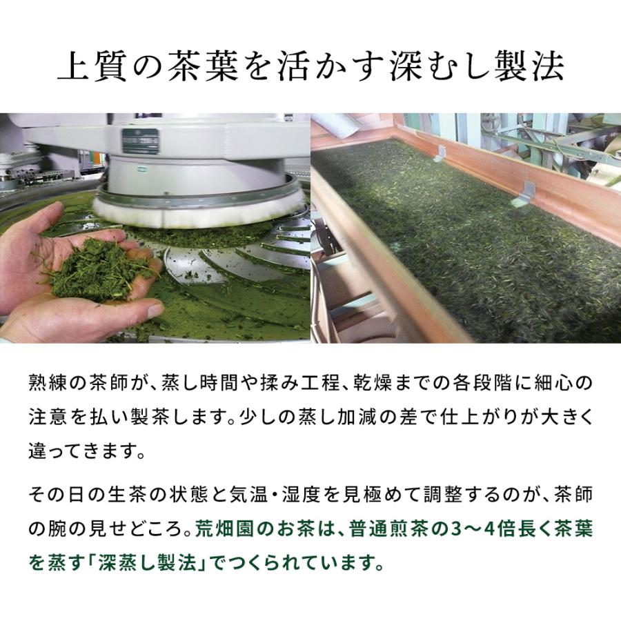 お茶 緑茶 ティーバッグ ティーパック 水出し緑茶 深蒸し茶 日本茶 厳選がぶ飲み深むしティーパック100包 ポイント利用 ポイント消化 爆買 ■30511 | お茶の荒畑園 | 12