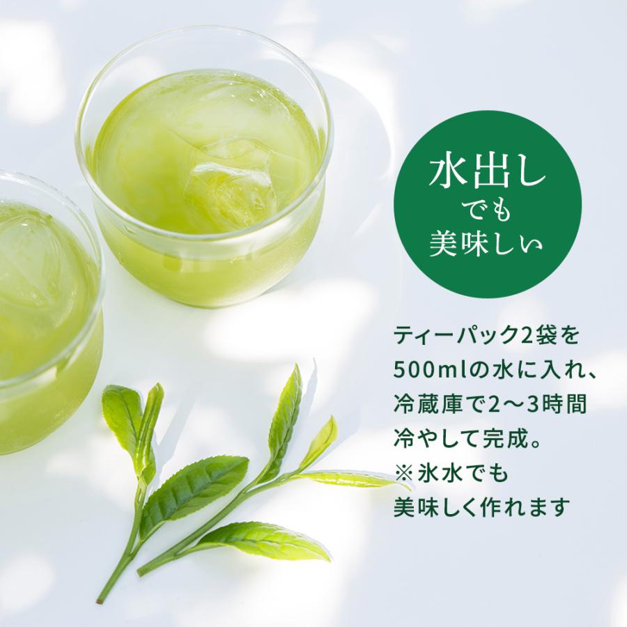 お茶 緑茶 ティーバッグ ティーパック 水出し緑茶 深蒸し茶 日本茶 厳選がぶ飲み深むしティーパック100包 ポイント利用 ポイント消化 爆買 ■30511 | お茶の荒畑園 | 16