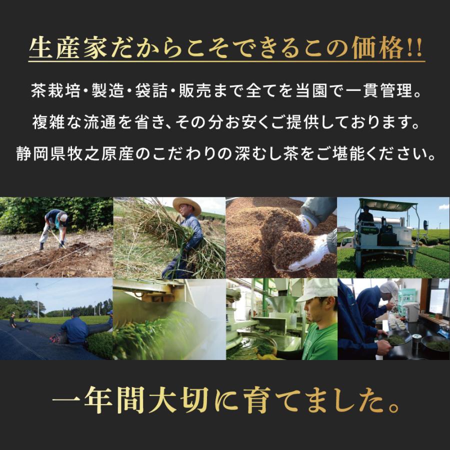 お茶 緑茶 ティーバッグ ティーパック 水出し緑茶 深蒸し茶 日本茶 厳選がぶ飲み深むしティーパック100包 ポイント利用 ポイント消化 爆買 ■30511 | お茶の荒畑園 | 18
