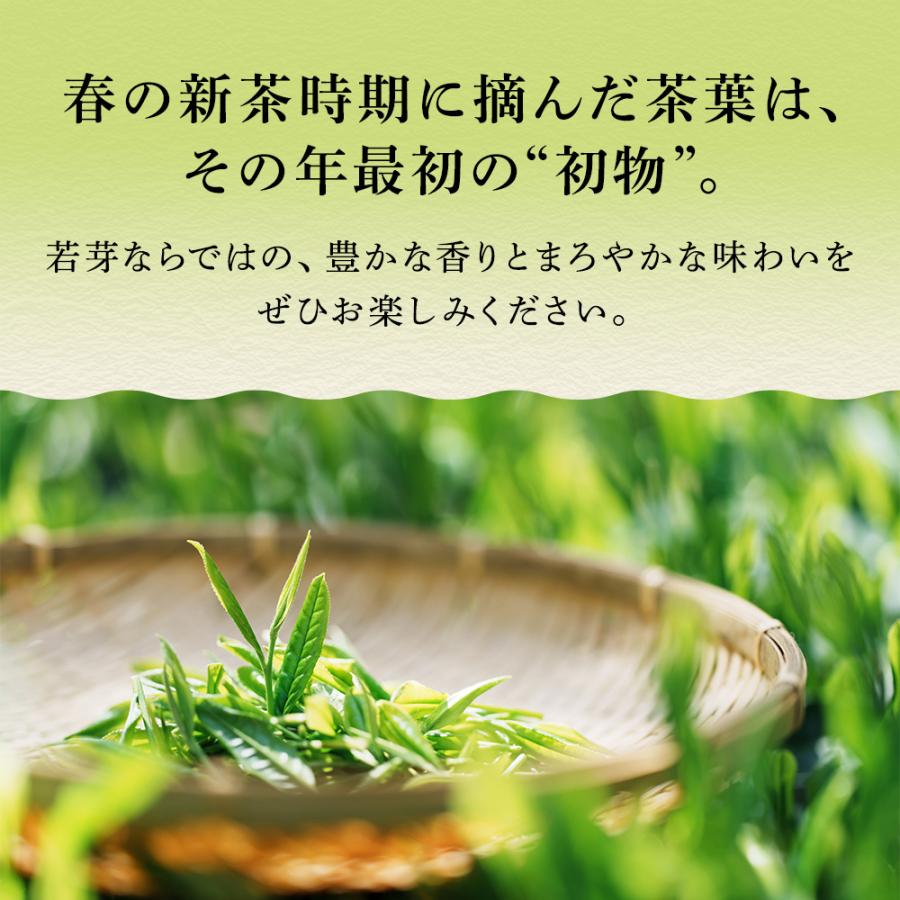 お茶 緑茶 ティーバッグ ティーパック 水出し緑茶 深蒸し茶 日本茶 厳選がぶ飲み深むしティーパック100包 ポイント利用 ポイント消化 爆買 ■30511 | お茶の荒畑園 | 05