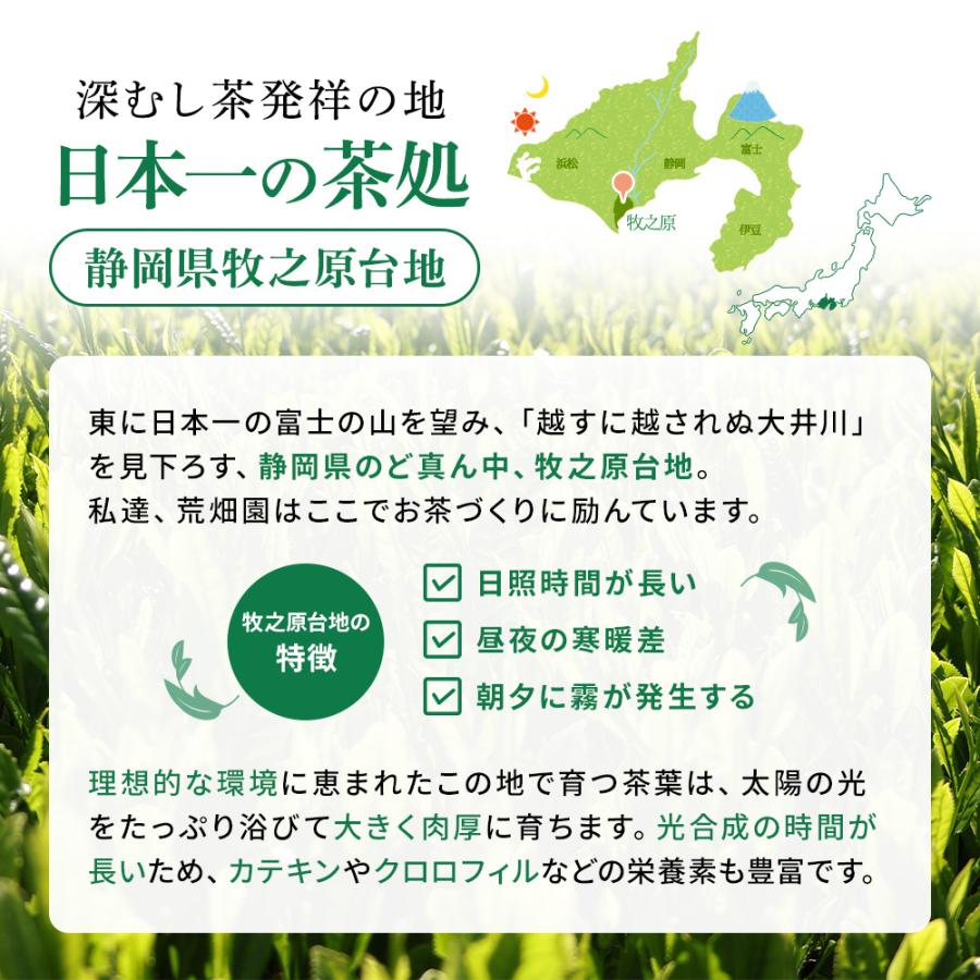 お茶 緑茶 ティーバッグ ティーパック 水出し緑茶 深蒸し茶 日本茶 厳選がぶ飲み深むしティーパック100包 ポイント利用 ポイント消化 爆買 ■30511 | お茶の荒畑園 | 09