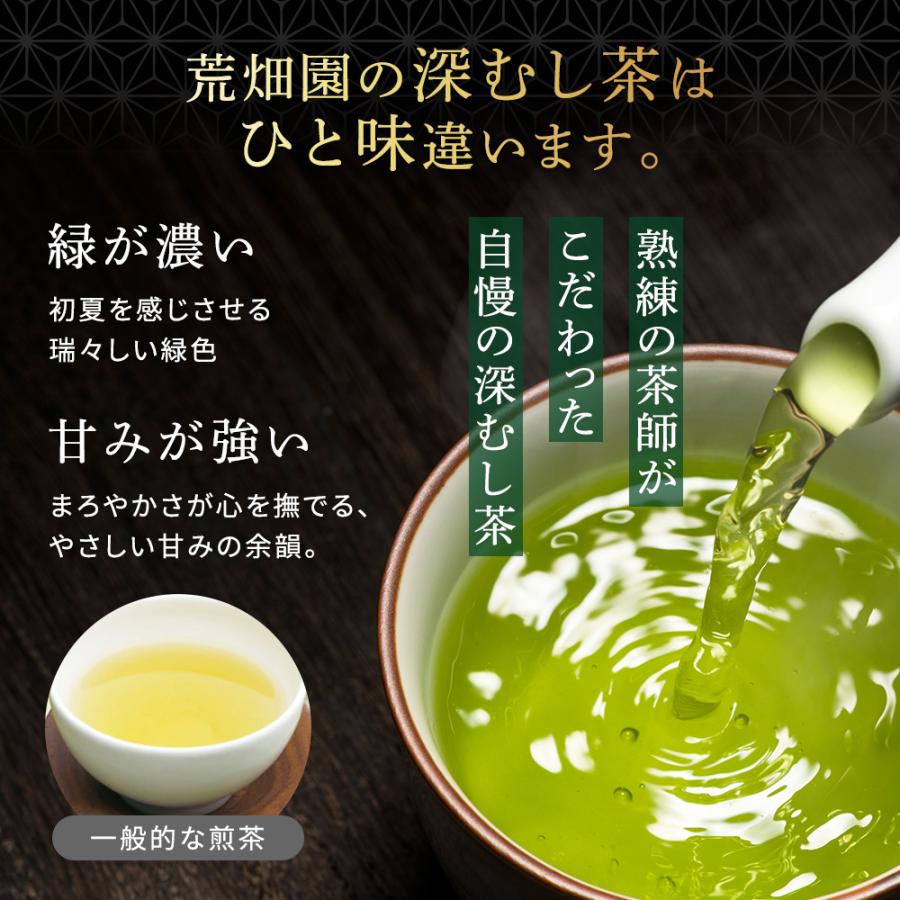 お茶 緑茶 ティーバッグ ティーパック 水出し緑茶 深蒸し茶 日本茶 厳選がぶ飲み深むしティーパック100包 ポイント利用 ポイント消化 爆買 ■30511 | お茶の荒畑園 | 10