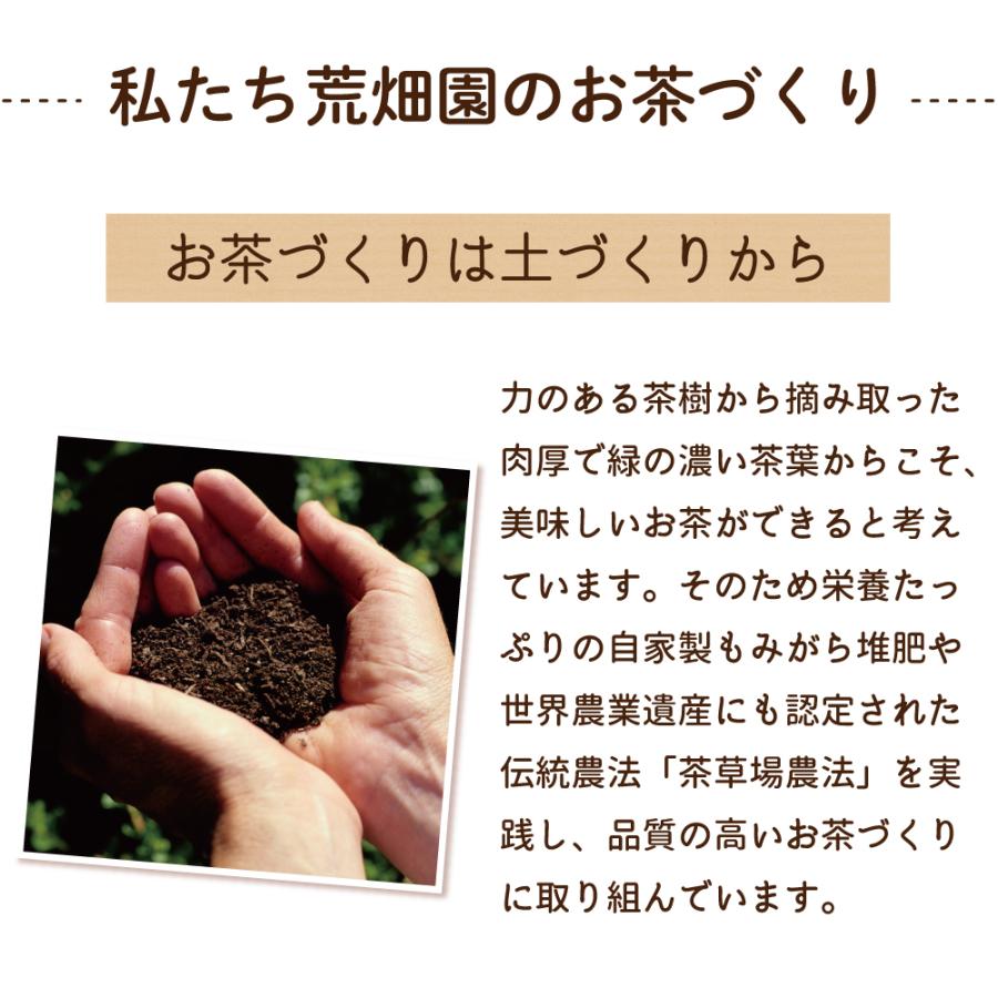 お茶 緑茶 茶葉 お茶の葉 水出し緑茶 深蒸し茶 日本茶 静岡茶 富士山パッケージ 70g 3袋 ポイント消化 ポイント利用 爆買 | お茶の荒畑園 | 11