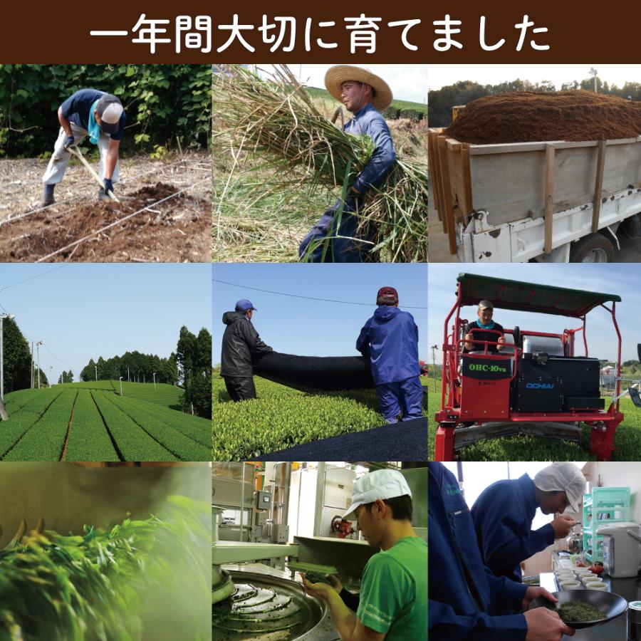 お茶 緑茶 茶葉 お茶の葉 水出し緑茶 深蒸し茶 日本茶 静岡茶 富士山パッケージ 70g 3袋 ポイント消化 ポイント利用 爆買 | お茶の荒畑園 | 12