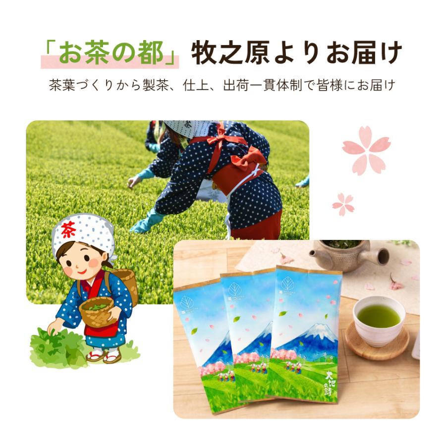 お茶 緑茶 茶葉 お茶の葉 水出し緑茶 深蒸し茶 日本茶 静岡茶 富士山パッケージ 70g 3袋 ポイント消化 ポイント利用 爆買 | お茶の荒畑園 | 03