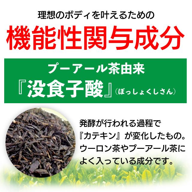 健康茶 プーアール茶 国産 プーアル茶 ティーパック プアール茶 ダイエット お茶 ポリフェノール SARYU-SOSO 2gx10ヶ ■15218｜arahata｜04