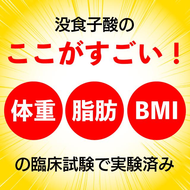 ダイエット茶 健康茶 プーアール茶 国産 プーアル茶 ティーパック プアール茶 お茶 初回限定 国産プーアール茶 SARYU-SOSO 5gx10ヶ 送料無料 セール ■5844｜arahata｜06